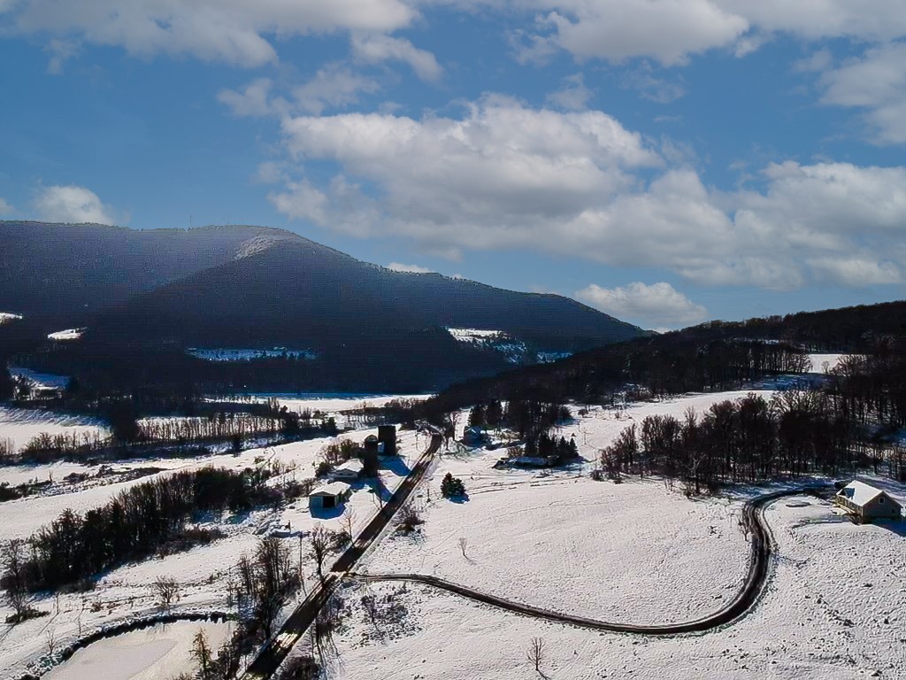 Blackberry Street, Gilboa, New York image 9