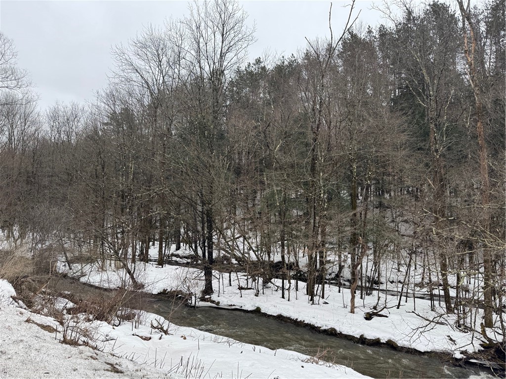 Lots 10.31 & 10.32 Knapp Road, Sherburne, New York image 18