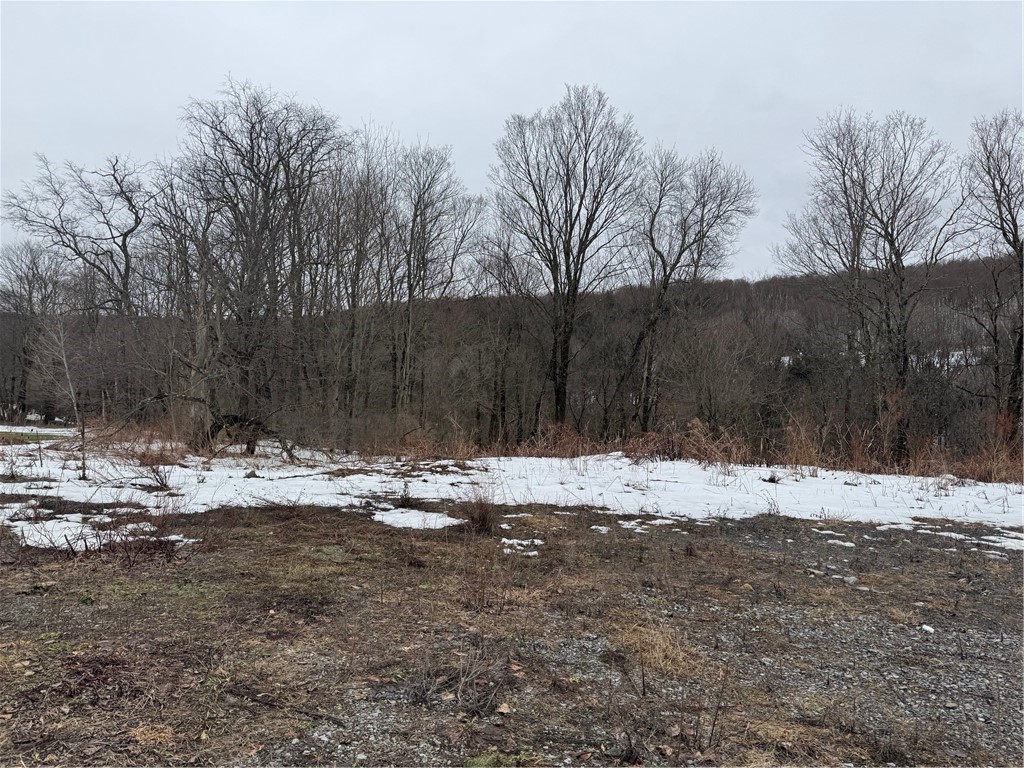 Lots 10.31 & 10.32 Knapp Road, Sherburne, New York image 27
