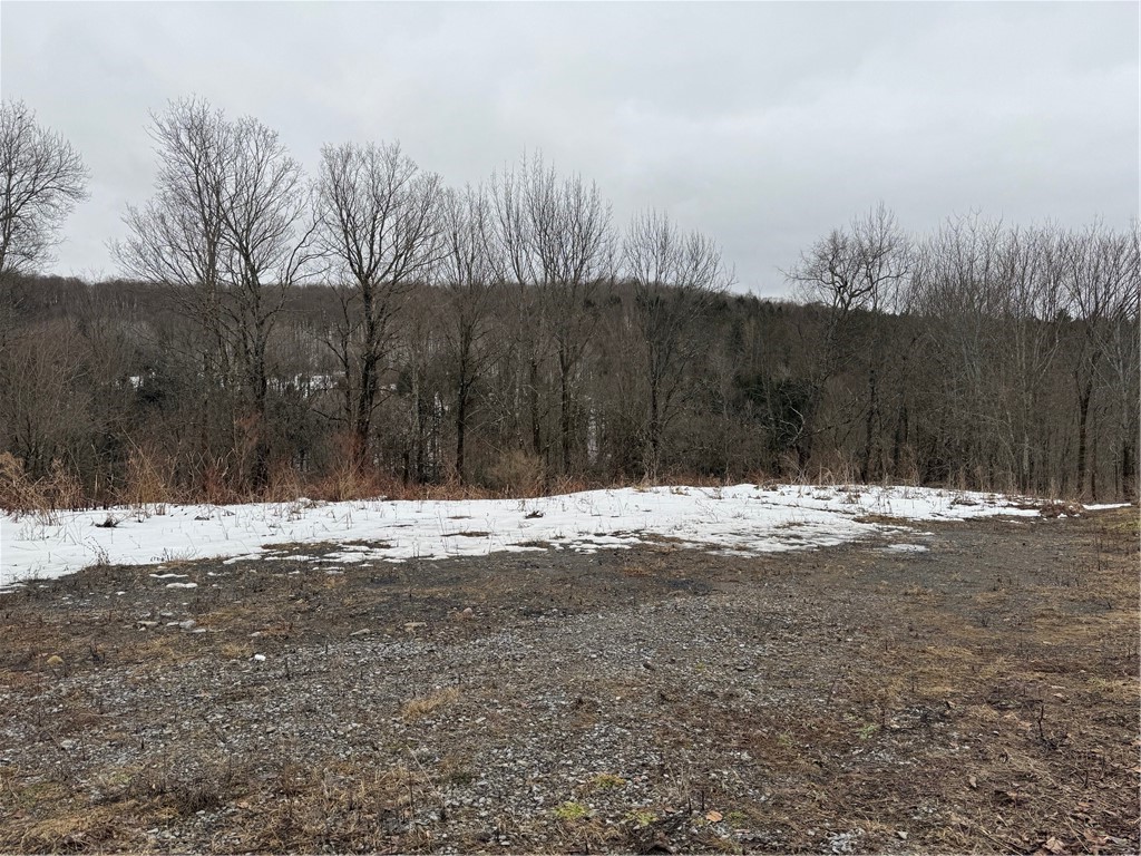 Lots 10.31 & 10.32 Knapp Road, Sherburne, New York image 3