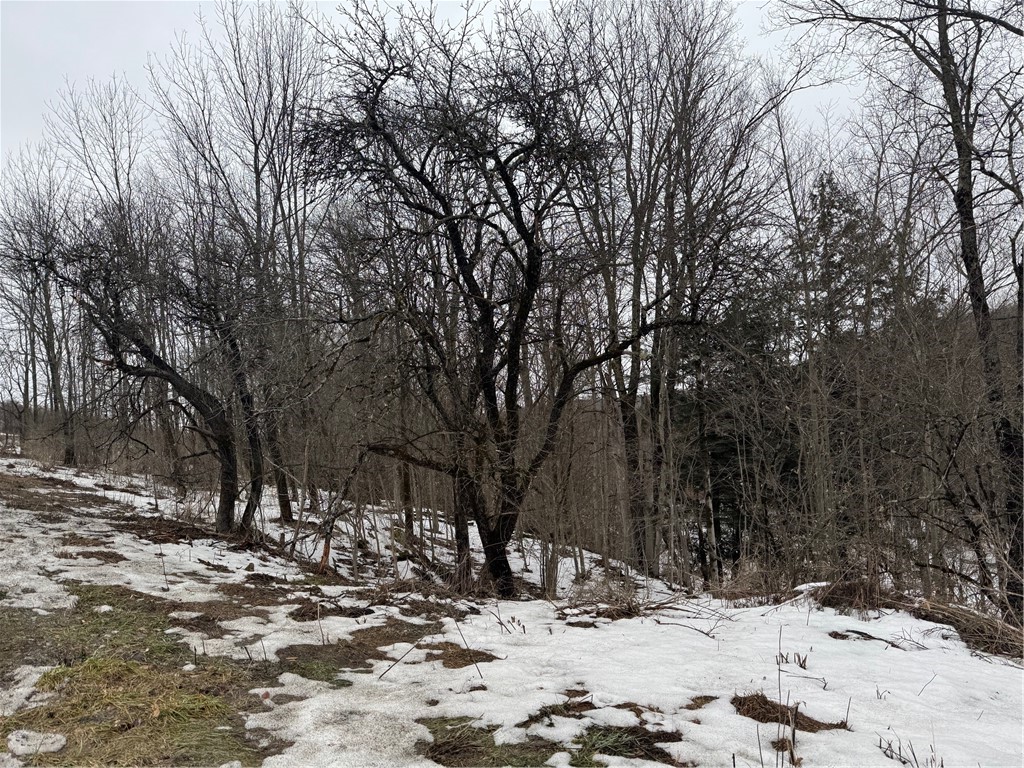 Lots 10.31 & 10.32 Knapp Road, Sherburne, New York image 23