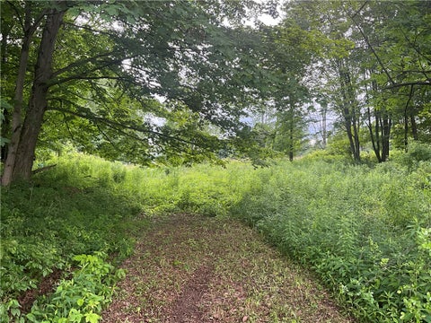 Vacant Land For Sale - Stauber Rd<br/> Groton, NY 13073