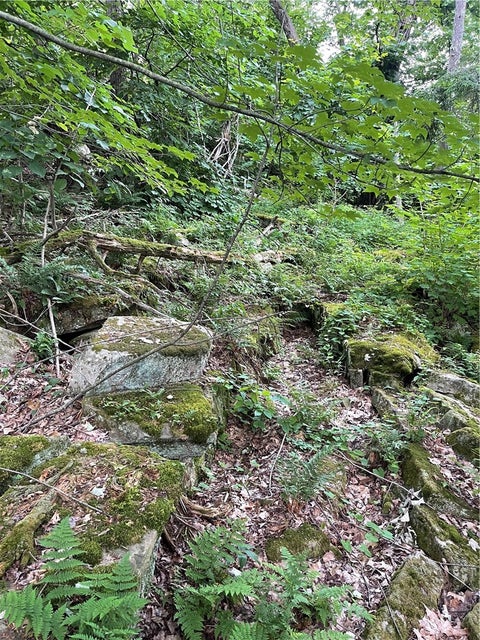 Vacant Land For Sale - Butterfield<br/> Alexandria, NY 13607