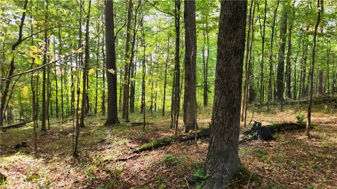 Vacant Land For Sale - Humphrey Road<br/> Humphrey, NY 14741