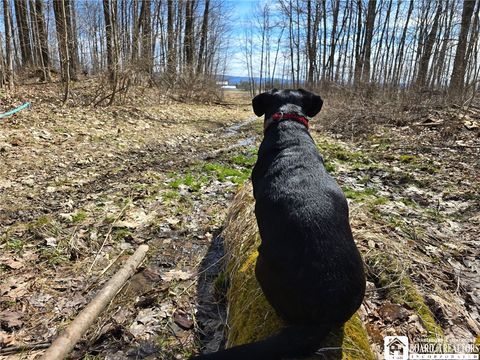 Vacant Land For Sale - 00 West Cobb Road<br/> Chautauqua County, Poland, NY 14733