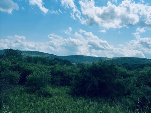 Vacant Land For Sale - Clark Rd Extension<br/> Allegany County, Almond, NY 14803