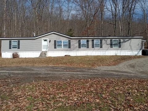 Mobile Home For Sale - 7103 E Washington Street Extension<br/> Bath, NY 14810