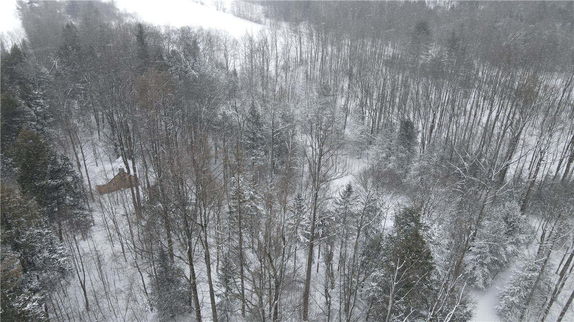 15323 Lone Road, Collins, New York image 17
