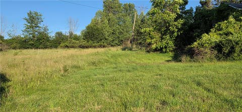 Tiny photo for 902 Roki BLVD, Nichols, NY 13812 (MLS # R1707446)