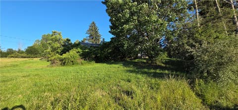 Tiny photo for 902 Roki BLVD, Nichols, NY 13812 (MLS # R1707446)