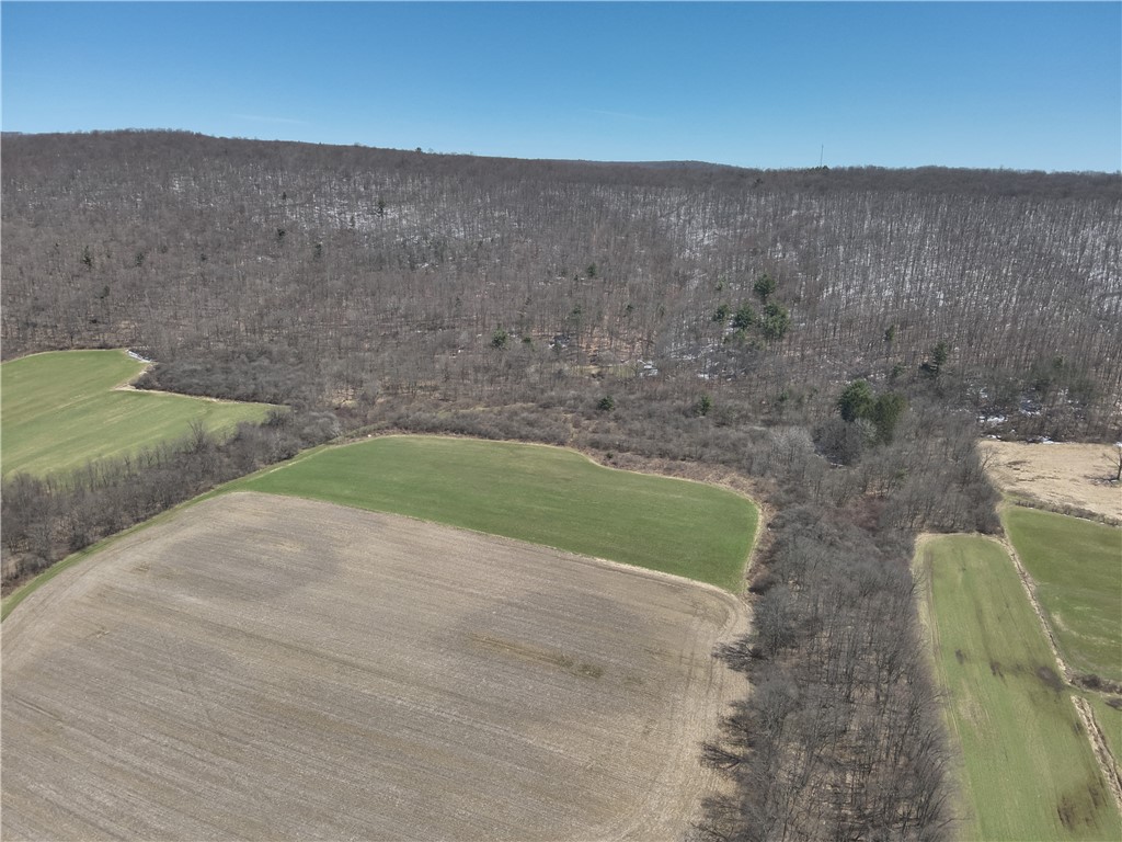V/l Bunker Hill Road, Cold Spring, New York image 11