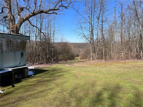 Vacant Land For Sale - V/L Bunker Hill Road<br/> Cold Spring, NY 14772
