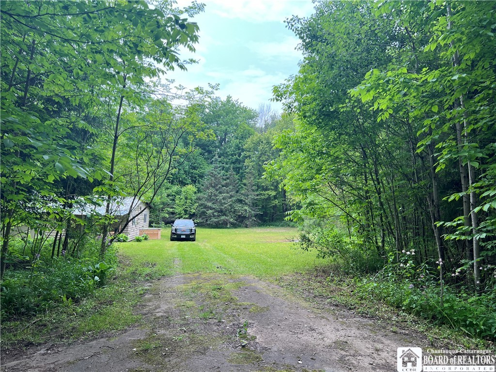 4199 Bruyer Road #B, Stockton, New York image 5