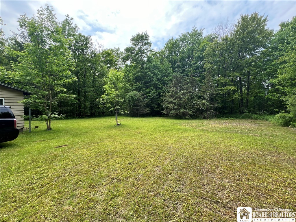 4199 Bruyer Road #B, Stockton, New York image 3