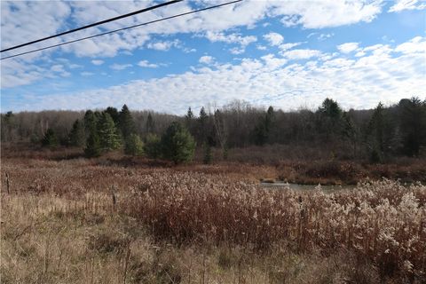 Vacant Land For Sale - County Road 35<br/> Chenango County, Oxford, NY 13830