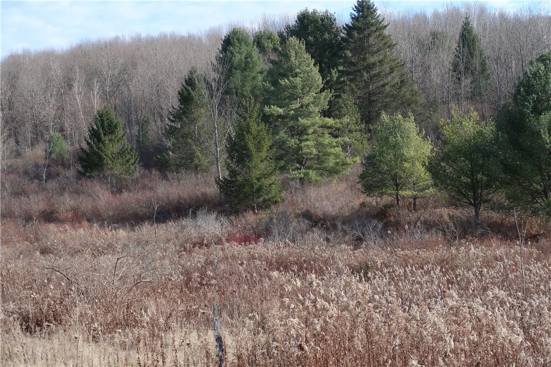 County Road 35, Oxford, New York image 4