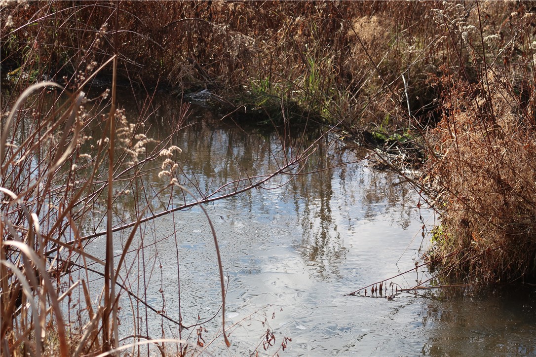 County Road 35, Oxford, New York image 6