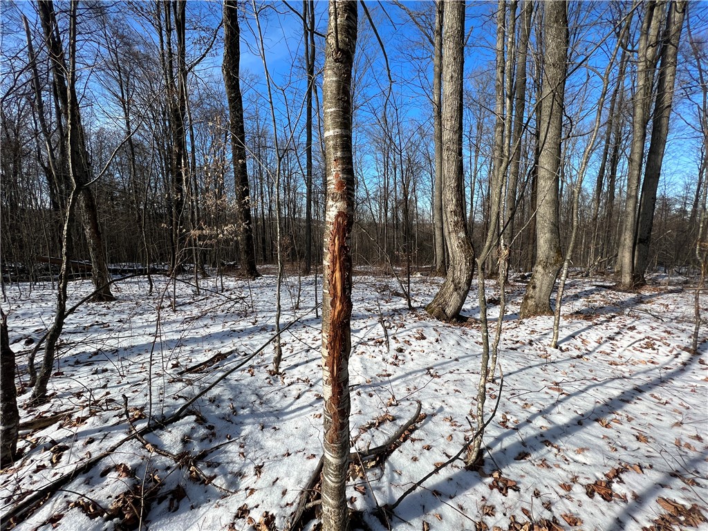 Fox Road, Owego, New York image 18