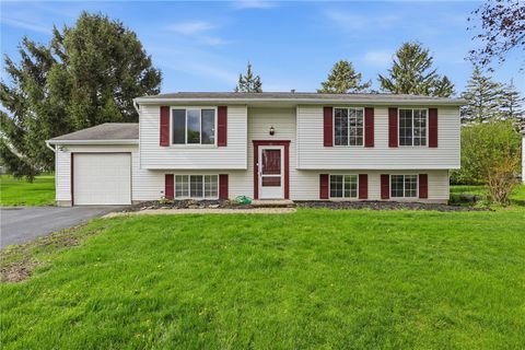 Homes For Sale - 43 Trotter Drive<br/> Monroe County, Henrietta, NY 14467