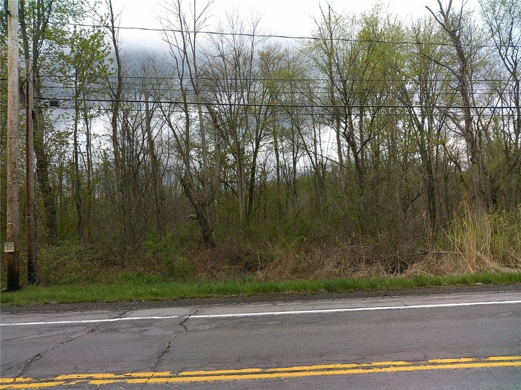 Photo of 1919 N Union Street, Parma, NY 14559 (MLS # R1676250)