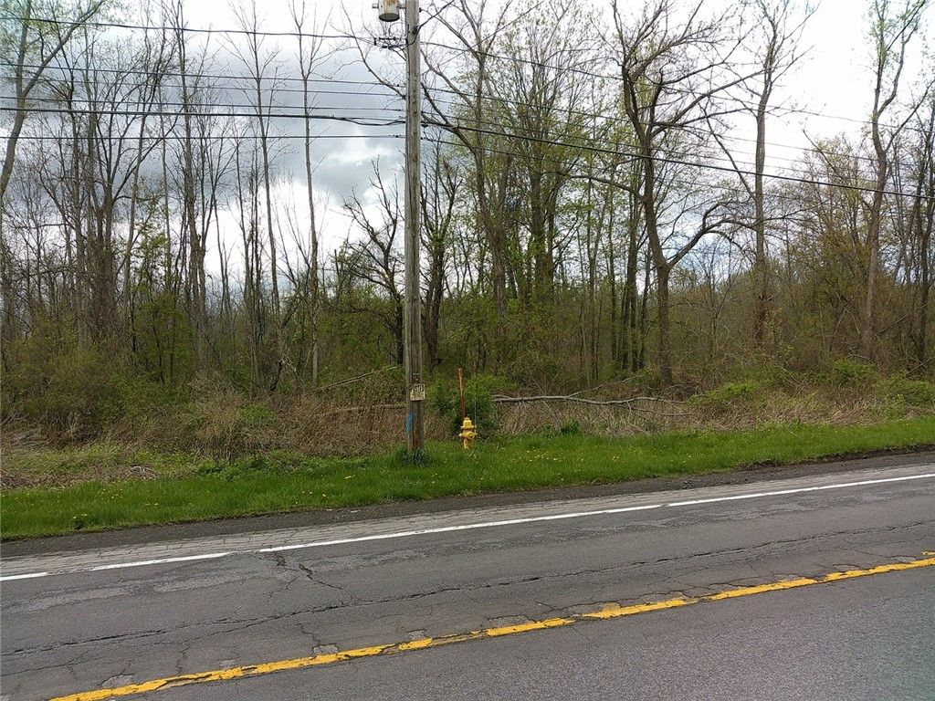 Photo of 1919 N Union Street, Parma, NY 14559 (MLS # R1676250)