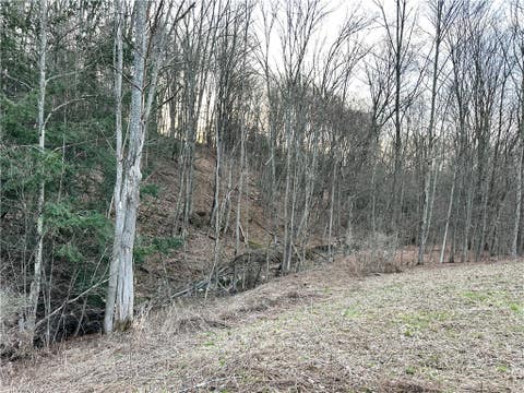 Tiny photo for Lot 10 Brennan Rd, Tuscarora, NY 14801 (MLS # R1709380)