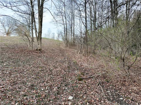 Tiny photo for Lot 10 Brennan Rd, Tuscarora, NY 14801 (MLS # R1709380)