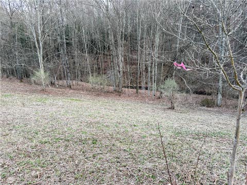 Tiny photo for Lot 10 Brennan Rd, Tuscarora, NY 14801 (MLS # R1709380)