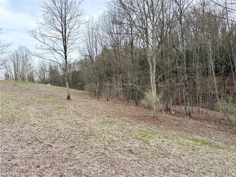 Tiny photo for Lot 10 Brennan Rd, Tuscarora, NY 14801 (MLS # R1709380)