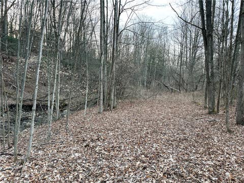 Tiny photo for Lot 10 Brennan Rd, Tuscarora, NY 14801 (MLS # R1709380)