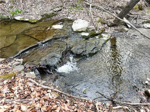 Tiny photo for Lot 10 Brennan Rd, Tuscarora, NY 14801 (MLS # R1709380)