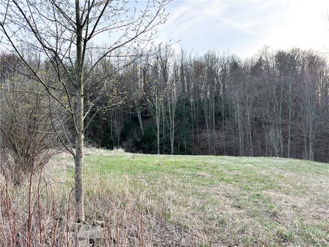 Tiny photo for Lot 10 Brennan Rd, Tuscarora, NY 14801 (MLS # R1709380)