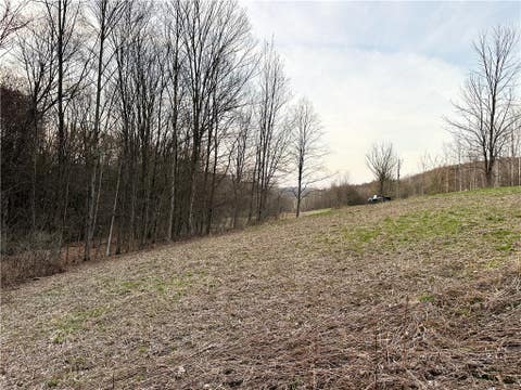 Tiny photo for Lot 10 Brennan Rd, Tuscarora, NY 14801 (MLS # R1709380)
