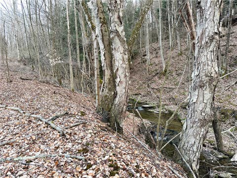 Tiny photo for Lot 10 Brennan Rd, Tuscarora, NY 14801 (MLS # R1709380)