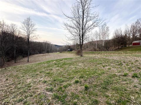 Tiny photo for Lot 10 Brennan Rd, Tuscarora, NY 14801 (MLS # R1709380)