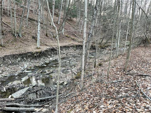 Tiny photo for Lot 10 Brennan Rd, Tuscarora, NY 14801 (MLS # R1709380)