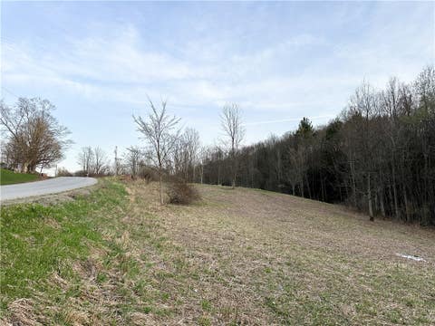 Tiny photo for Lot 10 Brennan Rd, Tuscarora, NY 14801 (MLS # R1709380)