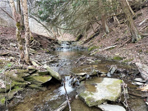 Tiny photo for Lot 10 Brennan Rd, Tuscarora, NY 14801 (MLS # R1709380)