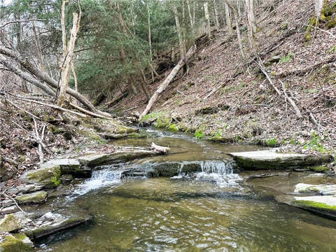 Tiny photo for Lot 10 Brennan Rd, Tuscarora, NY 14801 (MLS # R1709380)
