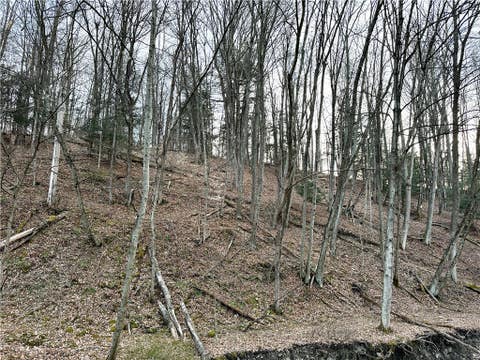 Tiny photo for Lot 10 Brennan Rd, Tuscarora, NY 14801 (MLS # R1709380)