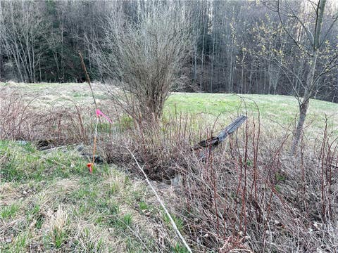 Tiny photo for Lot 10 Brennan Rd, Tuscarora, NY 14801 (MLS # R1709380)