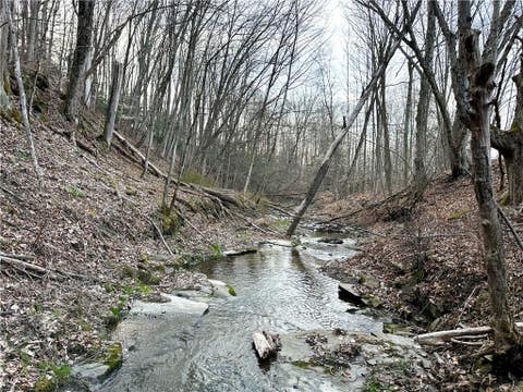 Tiny photo for Lot 10 Brennan Rd, Tuscarora, NY 14801 (MLS # R1709380)