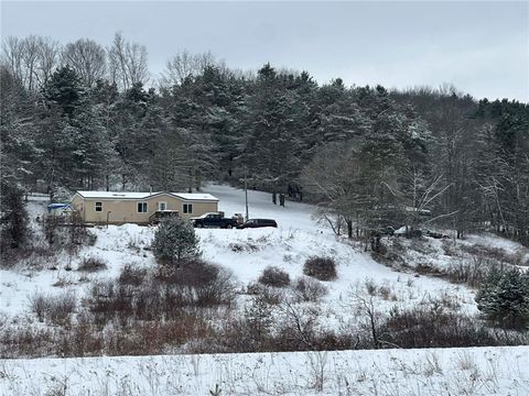 688 Dilley Hill Road Norwich NY 13815