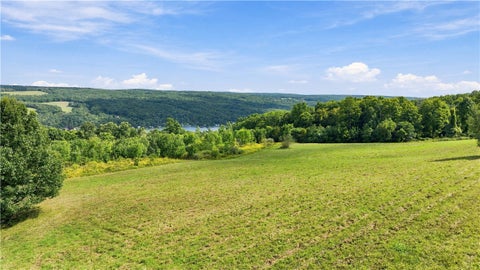 Photo for 4505 Vine Road