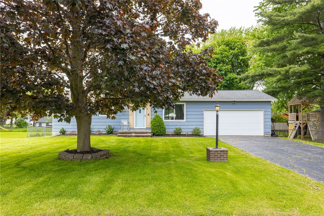 25 Selkirk Drive