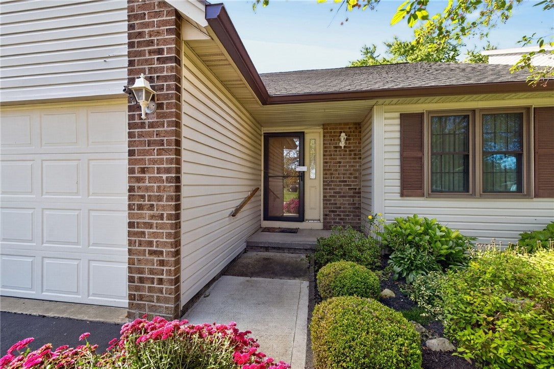 8 Daisy Lane