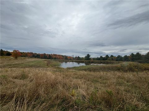 Vacant Land For Sale - VL Hunters<br/> Andover, NY 14806