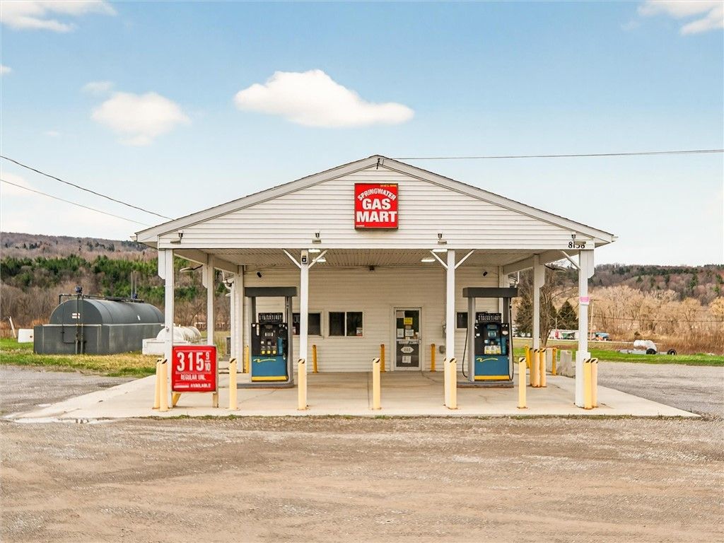 Photo of 8138 S Main Street, Springwater, NY 14560 (MLS # R1673193)