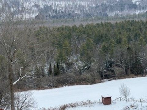 Tiny photo for 3010 Kelly Road, Brookfield, NY 13355 (MLS # R1655270)