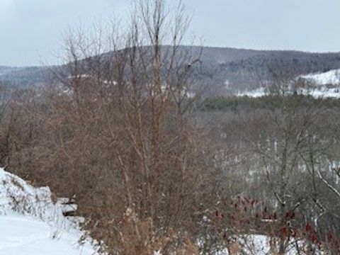 Tiny photo for 3010 Kelly Road, Brookfield, NY 13355 (MLS # R1655270)